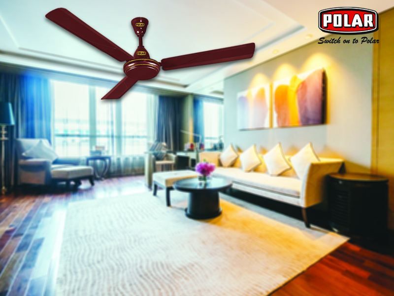 Efficient Ceiling Fans for Your Home are Available Online Now