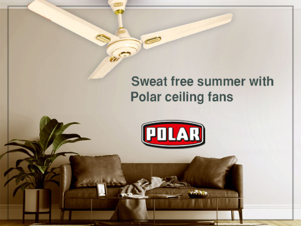 decorative ceiling fans,